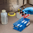 4336-20 Transfusion Medicine Refresher Course - January 2024 Session