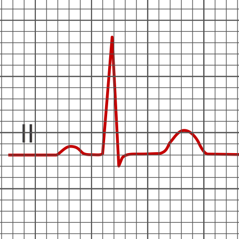 Knowledge in Electrocardiography Certificate